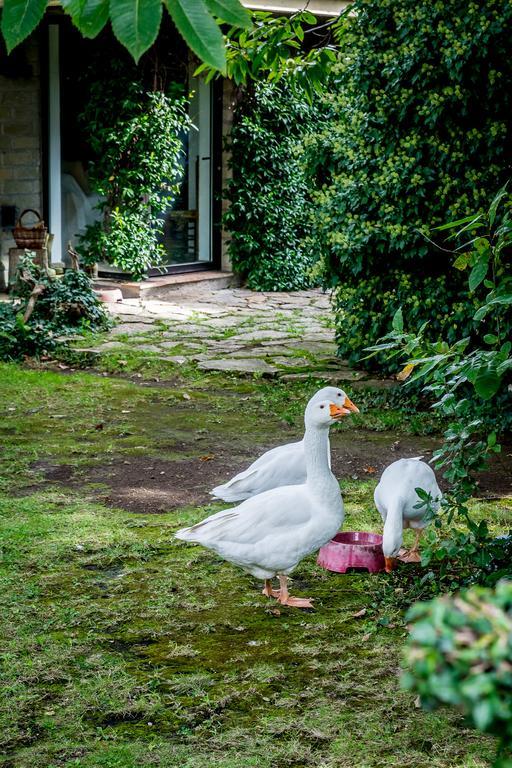 Вілла La Casa Degli Elfi Manziana Екстер'єр фото